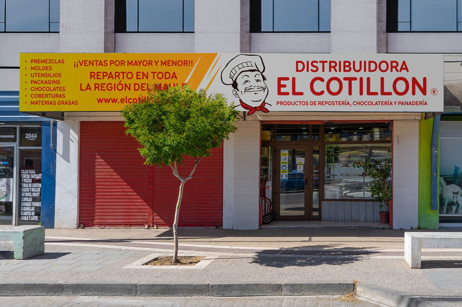 el cotillon